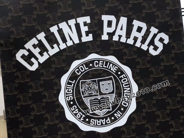 Celine專櫃2023新款手提托特包 191542 賽琳CABAS TRIOMPHE帆布小號豎款手袋 sldj2221